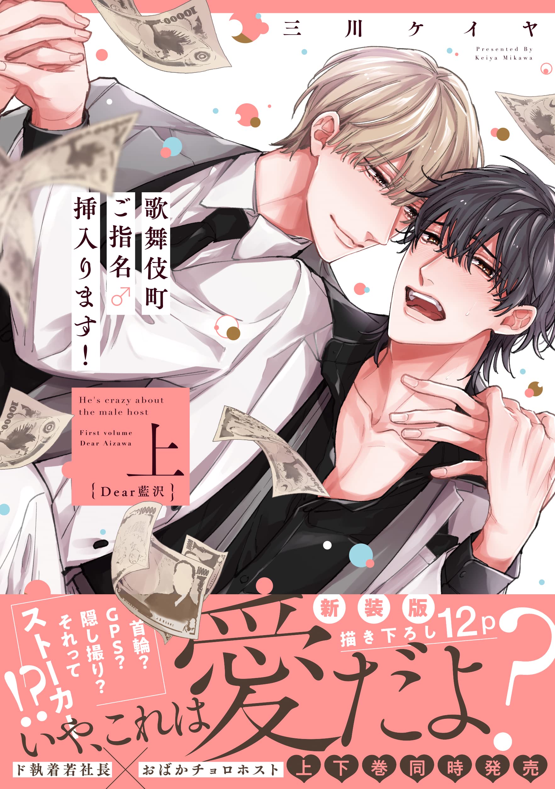 歌舞伎町ご指名♂挿入ります！の表紙