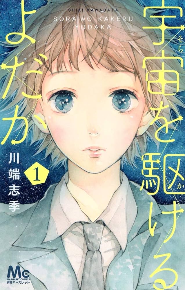 宇宙を駆けるよだかの表紙