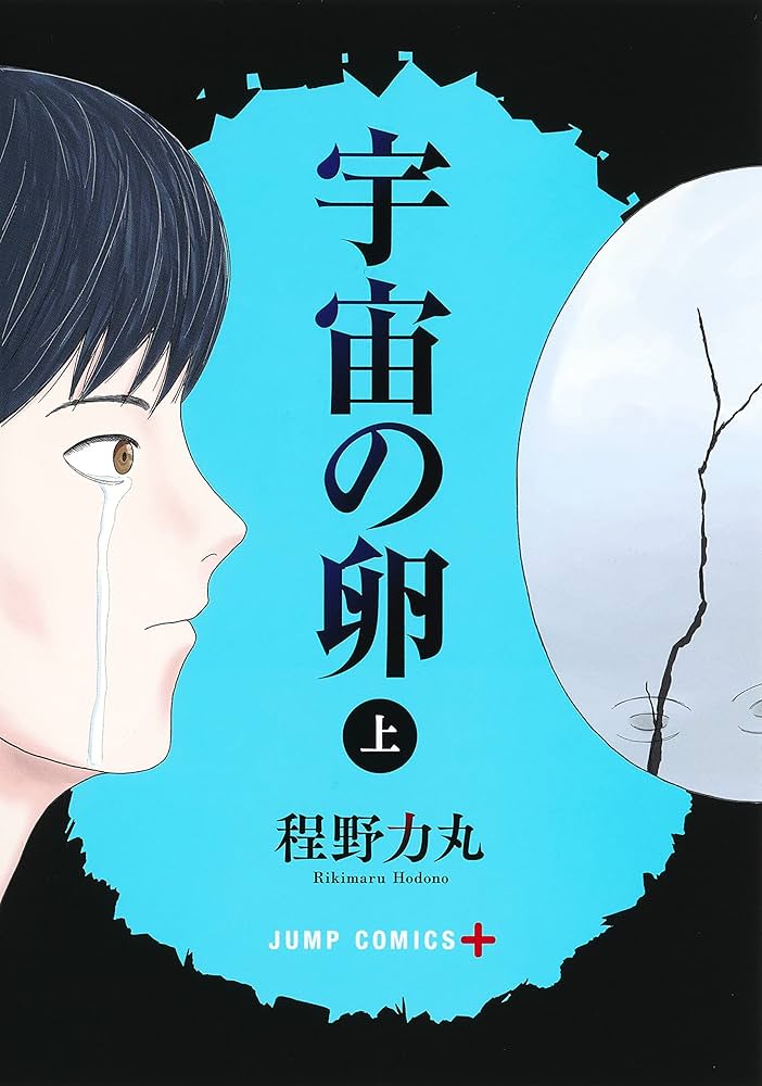宇宙の卵の表紙