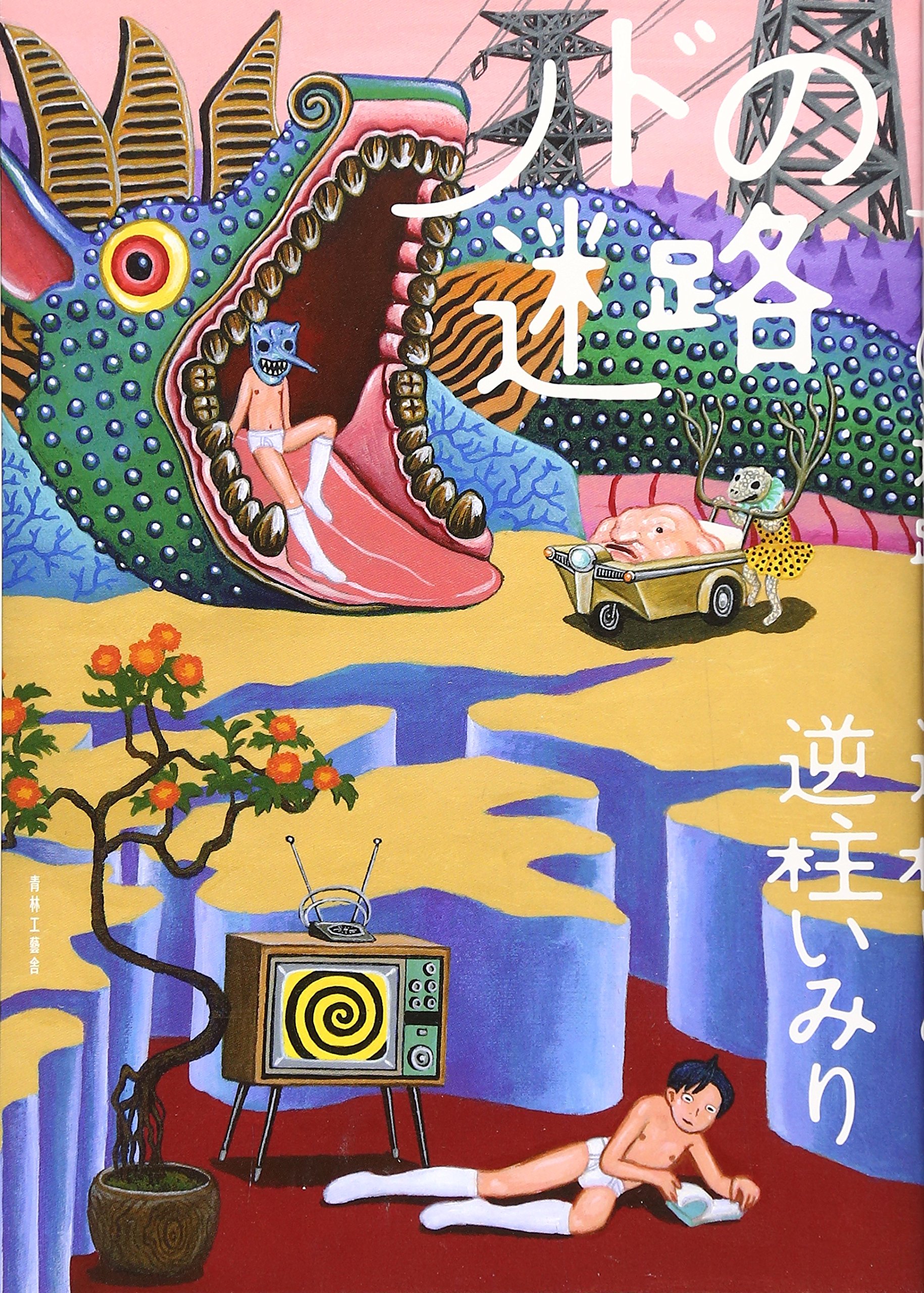 ノドの迷路の表紙