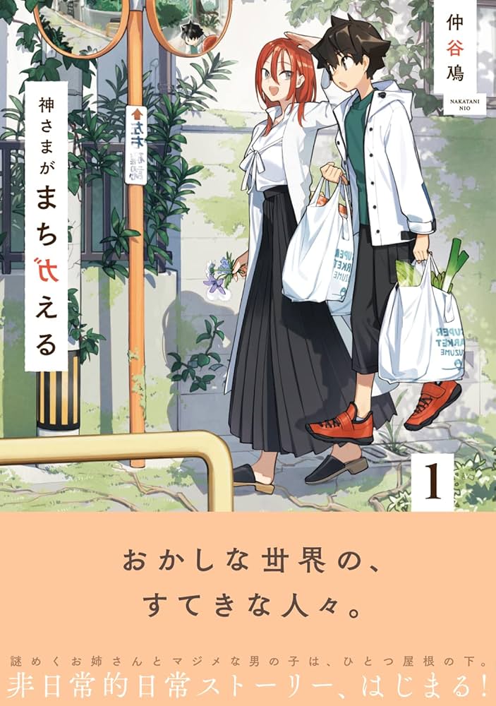 神さまがまちガえるの表紙