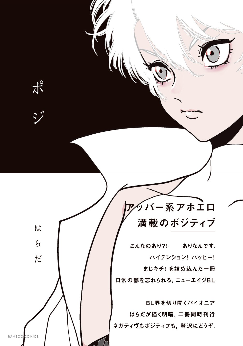 ポジの表紙
